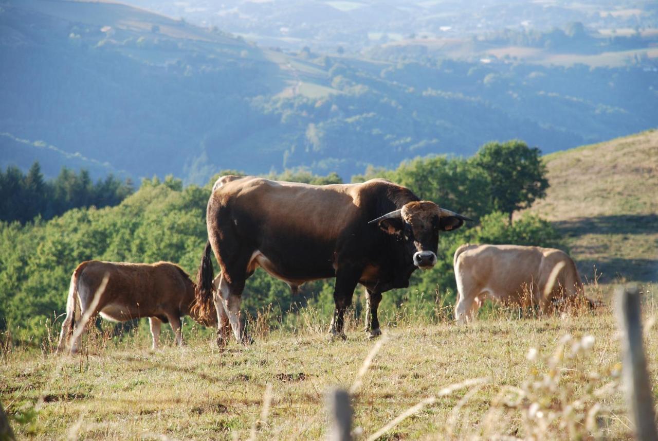 Gite De Sejour Haut 2 Gammes Saint-Hippolyte  Bagian luar foto